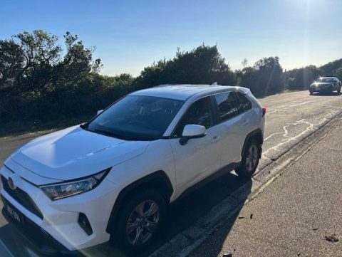 2022 Toyota RAV4 photo 3